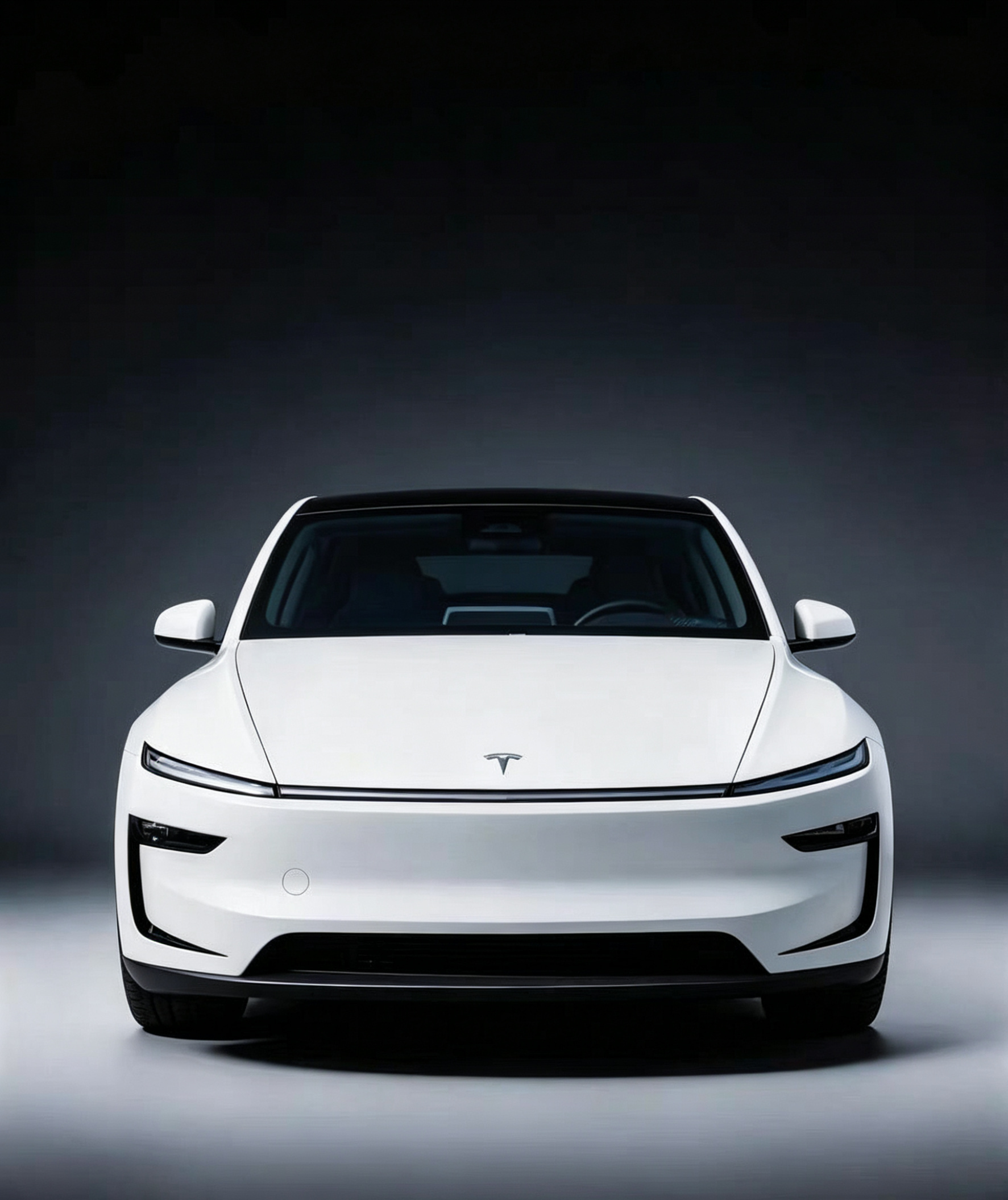 Tesla Model Y / YL Juniper Front Bumper Trim Garnish