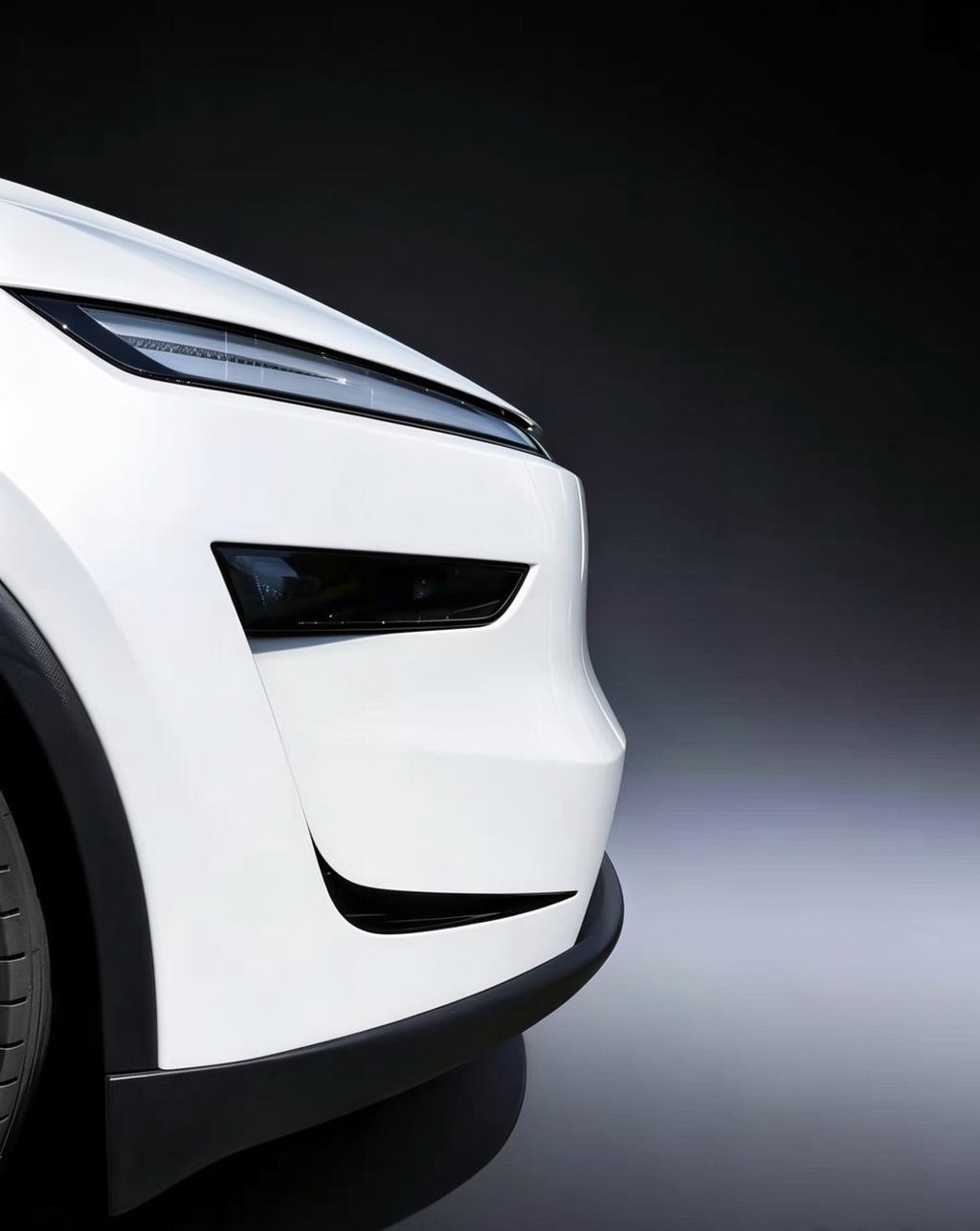 Tesla Model Y / YL Juniper Front Bumper Trim Garnish