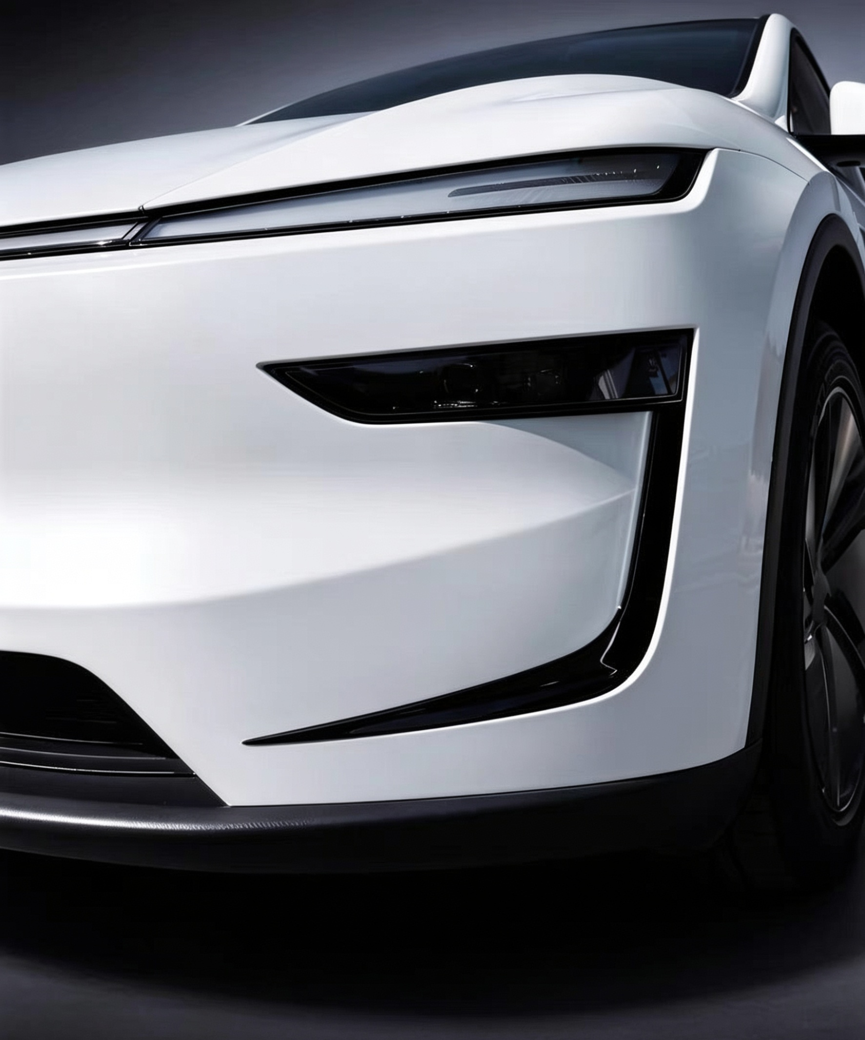 Tesla Model Y / YL Juniper Front Bumper Trim Garnish